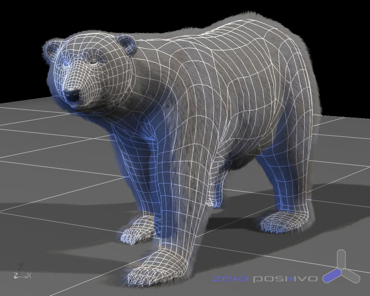 Oso Cocacola